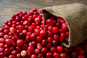 Cranberry