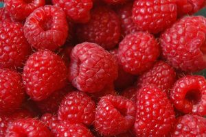 Himbeeren