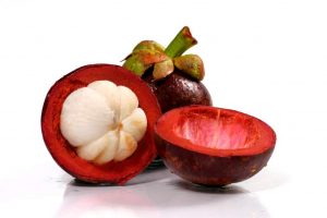 Mangostan