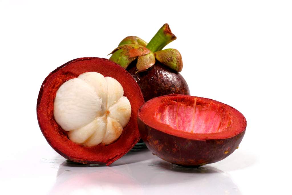 Mangostan die tropische Wunderfrucht Wie gesund ist mangostan