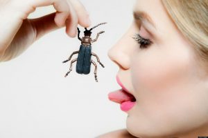 Insekten als Nahrung