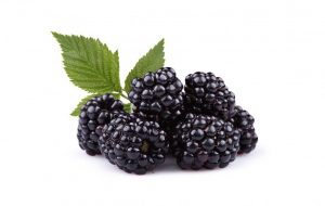 Brombeeren