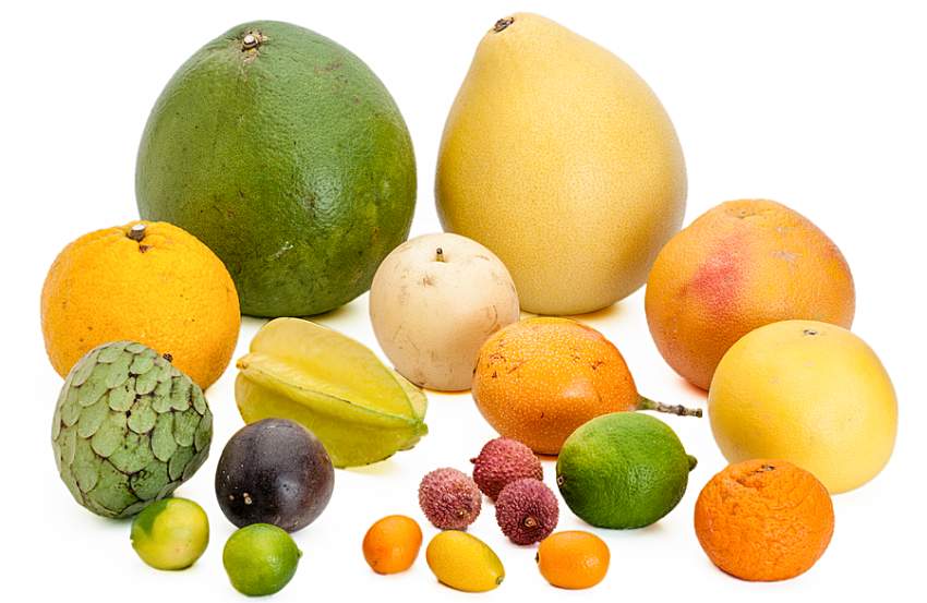 Tropische Fruchte Aus Brasilien Frische Vitamine Zum Fruhstuck Wie Funktioniert Com